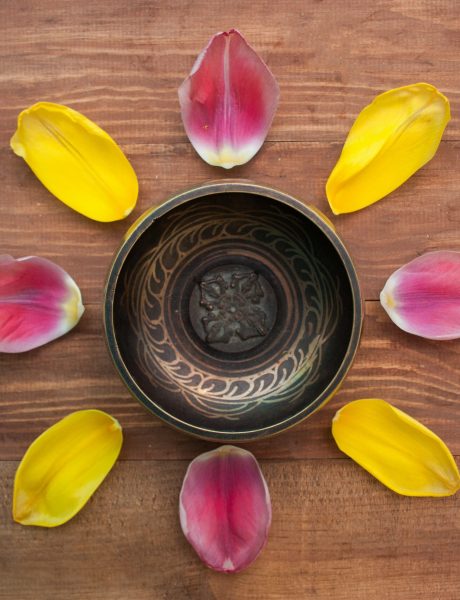 singing bowl and  Tulip petals,top view